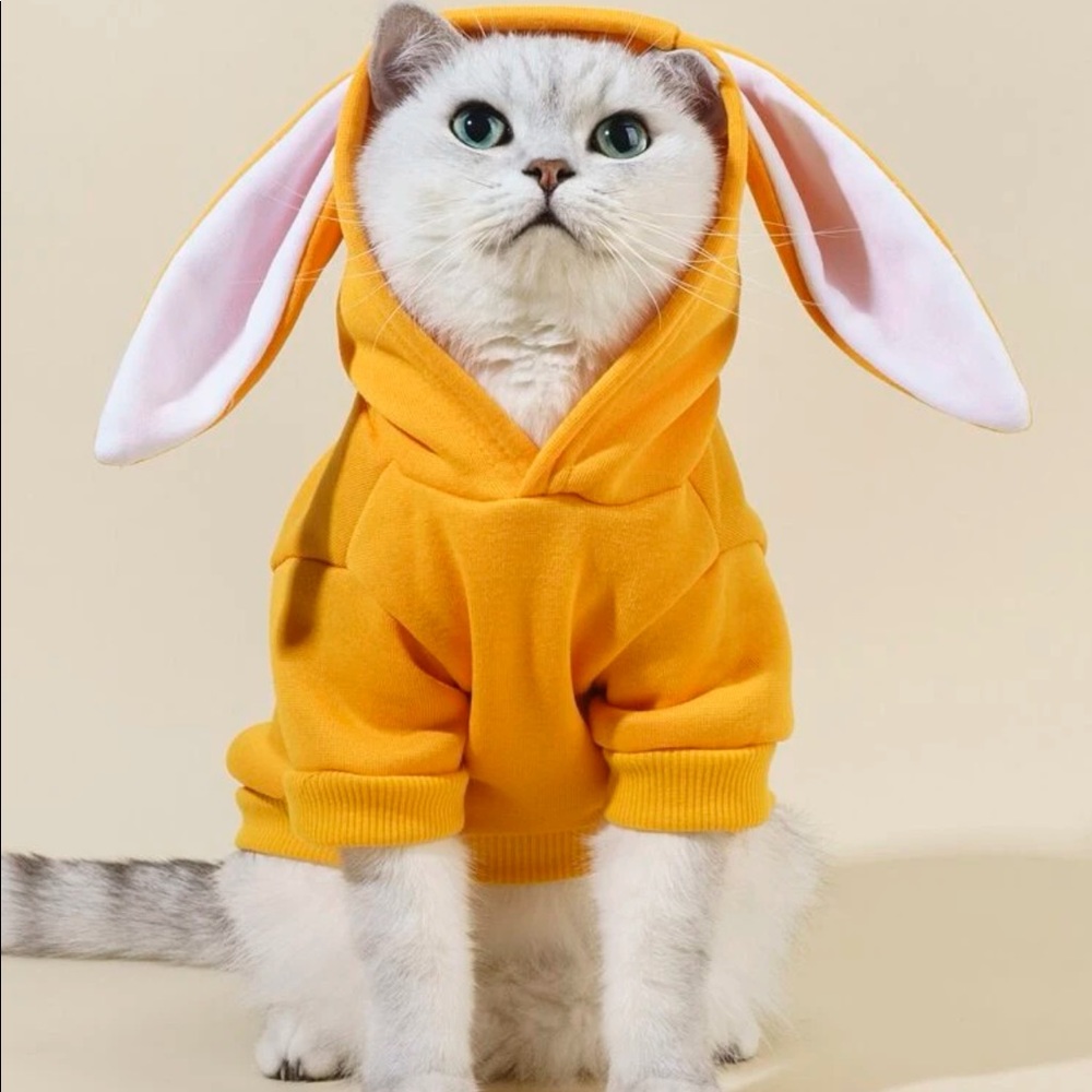 Rabbit Ear Decor Pet Hoodie 🐈